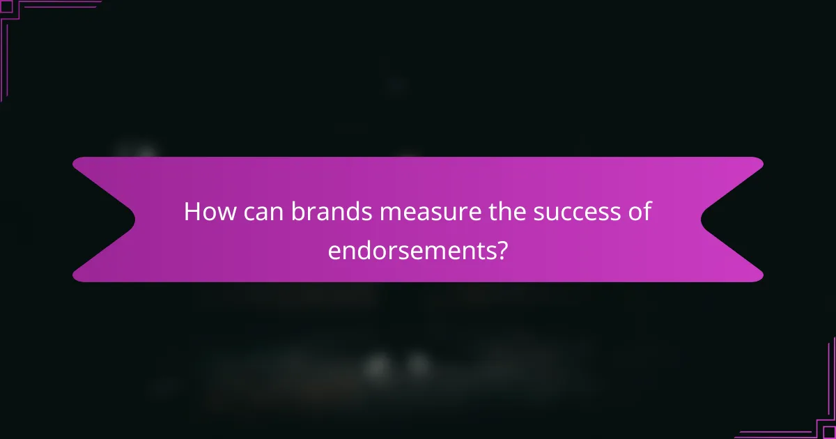 How can brands measure the success of endorsements?