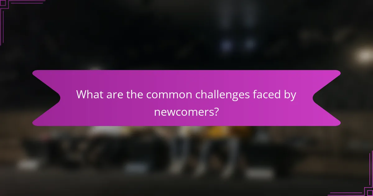 What are the common challenges faced by newcomers?